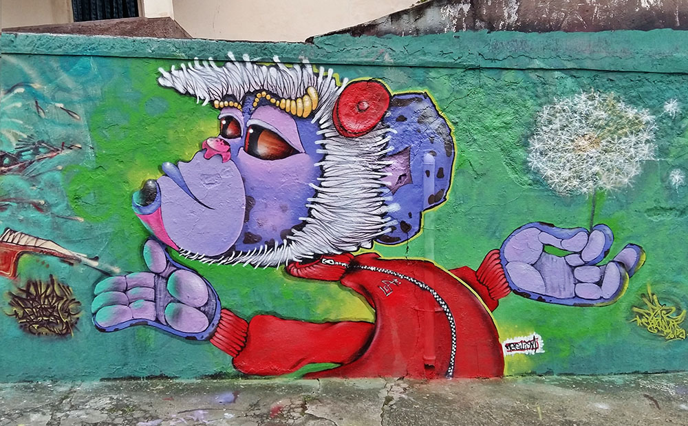 Macacolândia - Léu Araujo 2