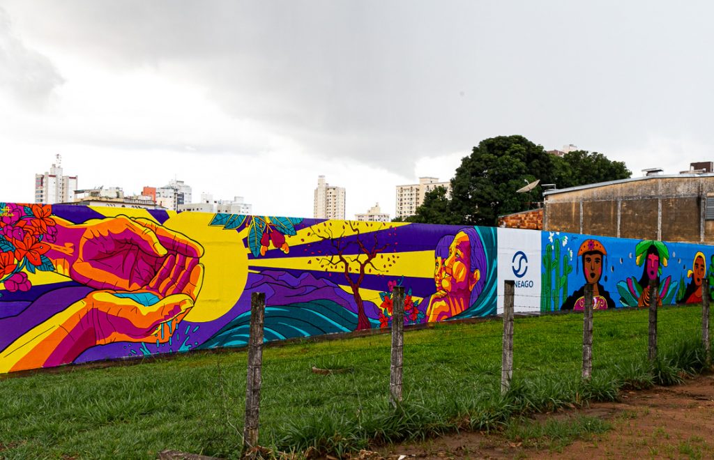 arte urbana em Goiânia